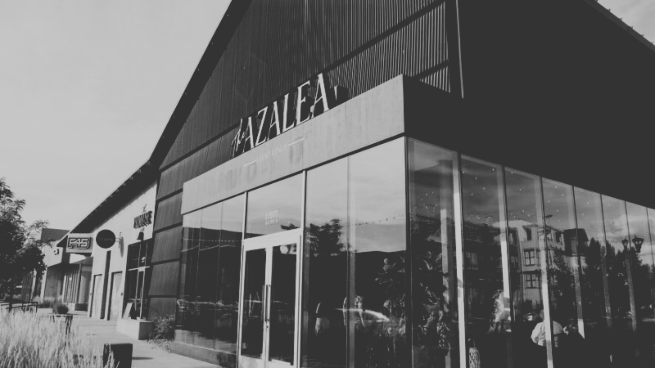 September 11-13, 2023 | The Wild Thistle Market