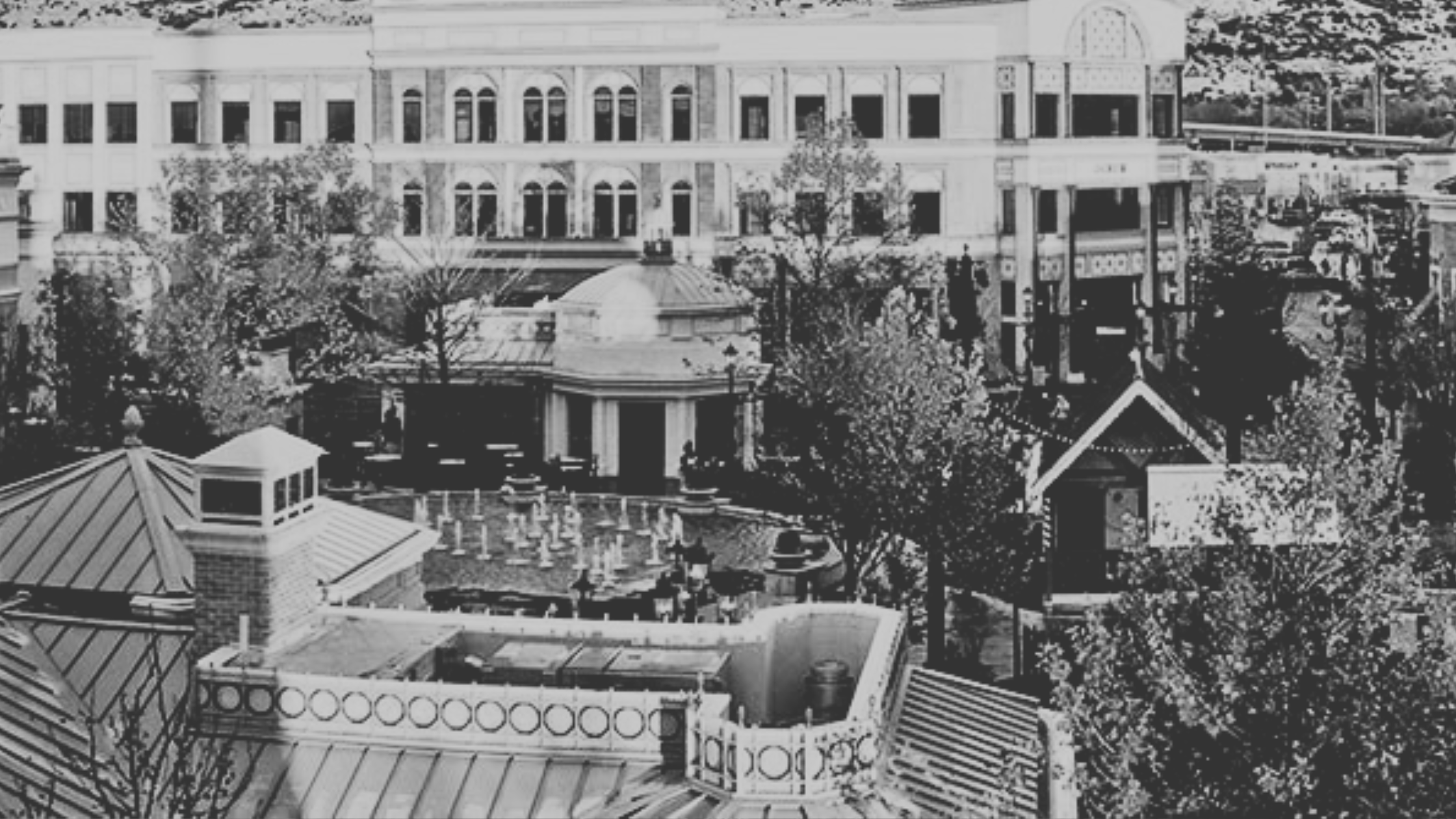 July 12, 2025 | Juniper Market