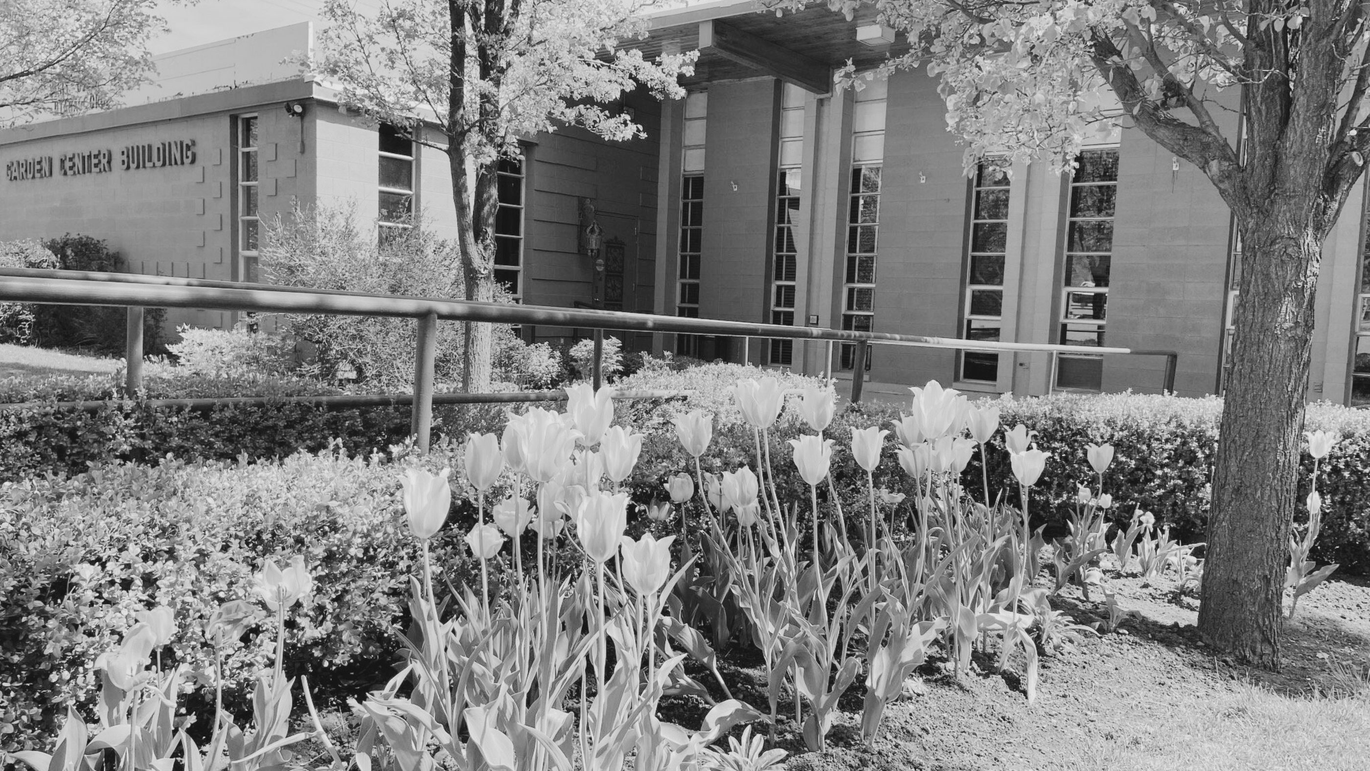 march 21-22, 2025 | salt creek