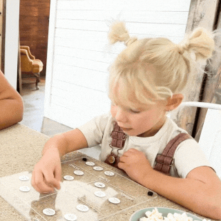 Balanced Board | Starter Bundle