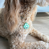 Custom NFC Pet Tag | Pet Contact Tag