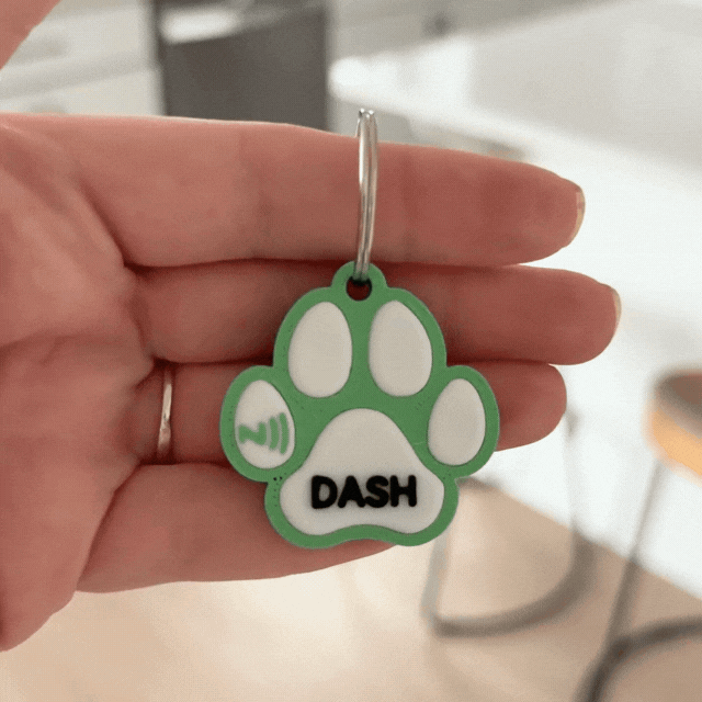 Custom NFC Pet Tag | Pet Contact Tag