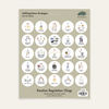 Spot the Feelings Board | Starter Bundle