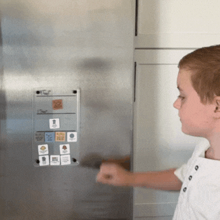 Zones Board | Bundle